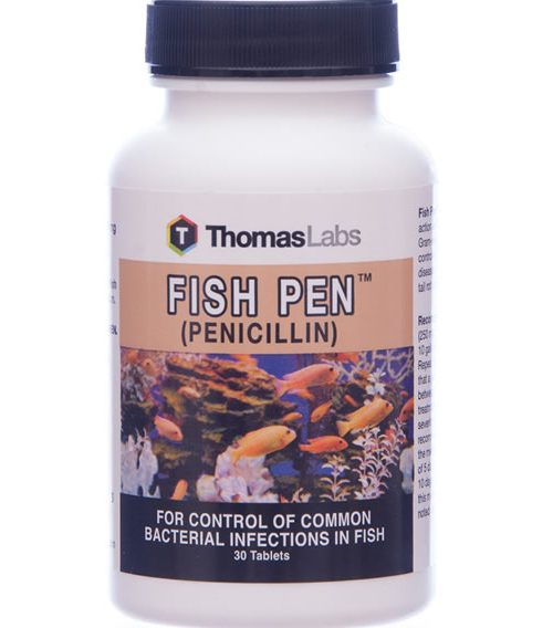 Fish Pen 30ct