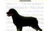 Rottweilers